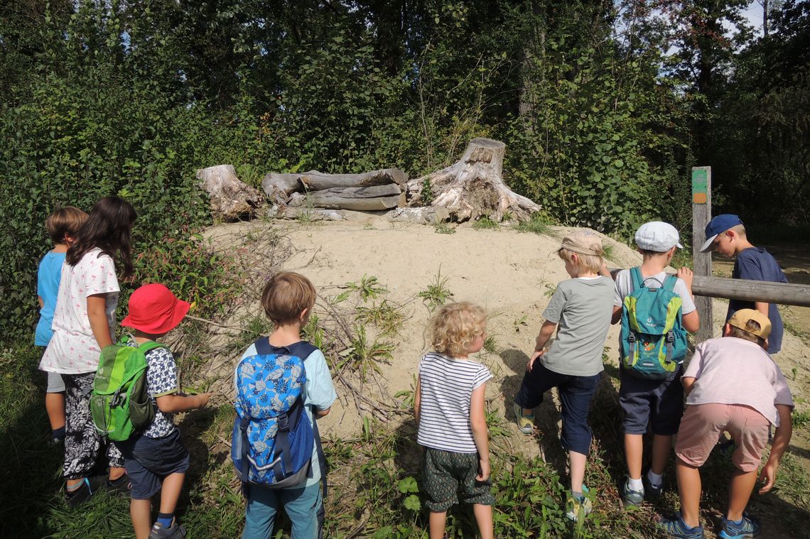 Bilder einer Gruppe Kinder auf Expedition