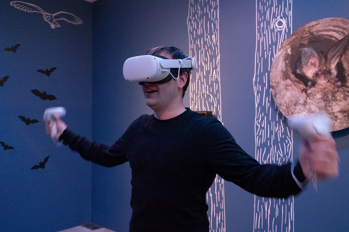 Fledermaus-Raum mit BATVISION Fledermaus-Raum mit BATVISION