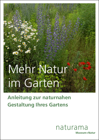Frontseite der Broschüre »Mehr Natur im Garten»