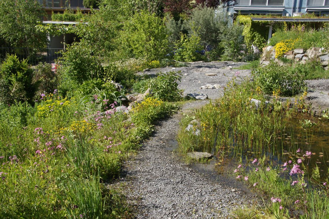 Üppiger Natugarten mit einem Fussweg in der Mitte