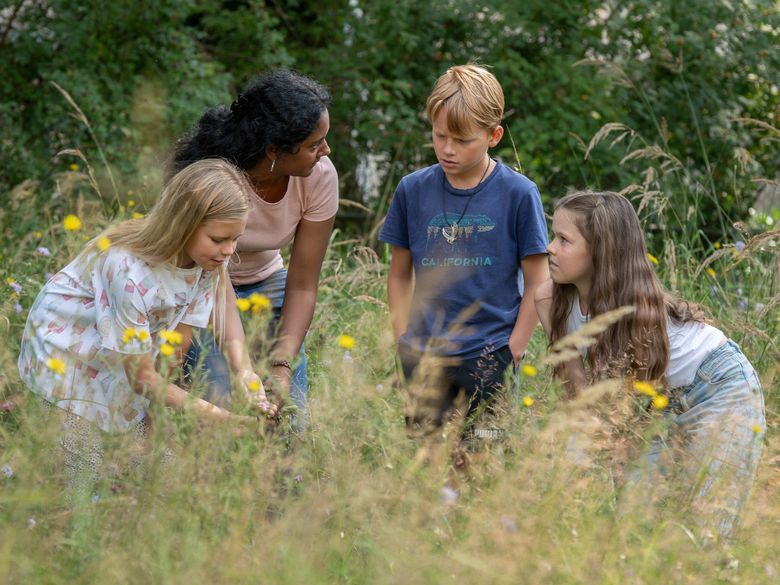 Wildkräuterwerkstatt: Farbe Duft und Geschmack Wildkräuterwerkstatt: Farbe Duft und Geschmack