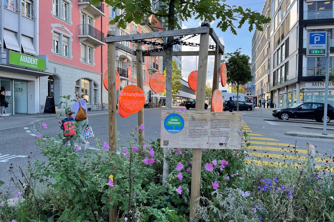 Junger Baum mit Wildblumen in Baden