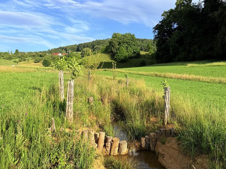 Vernetzungsplattform Natur 2030 Vernetzungsplattform Natur 2030