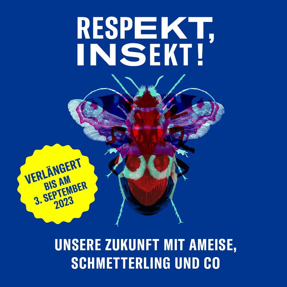 Visual zur Sonderausstellung «RESPEKT, INSEKT!»