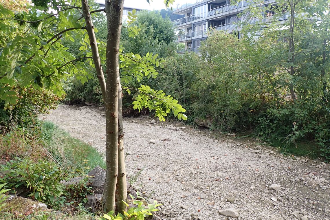 Ausgetrockneter Fluss Ergolz in Sissach
