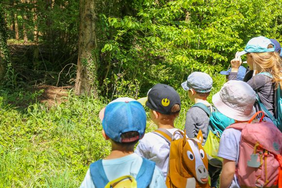 Kinder bestaunen Ameisenhaufen im Wald