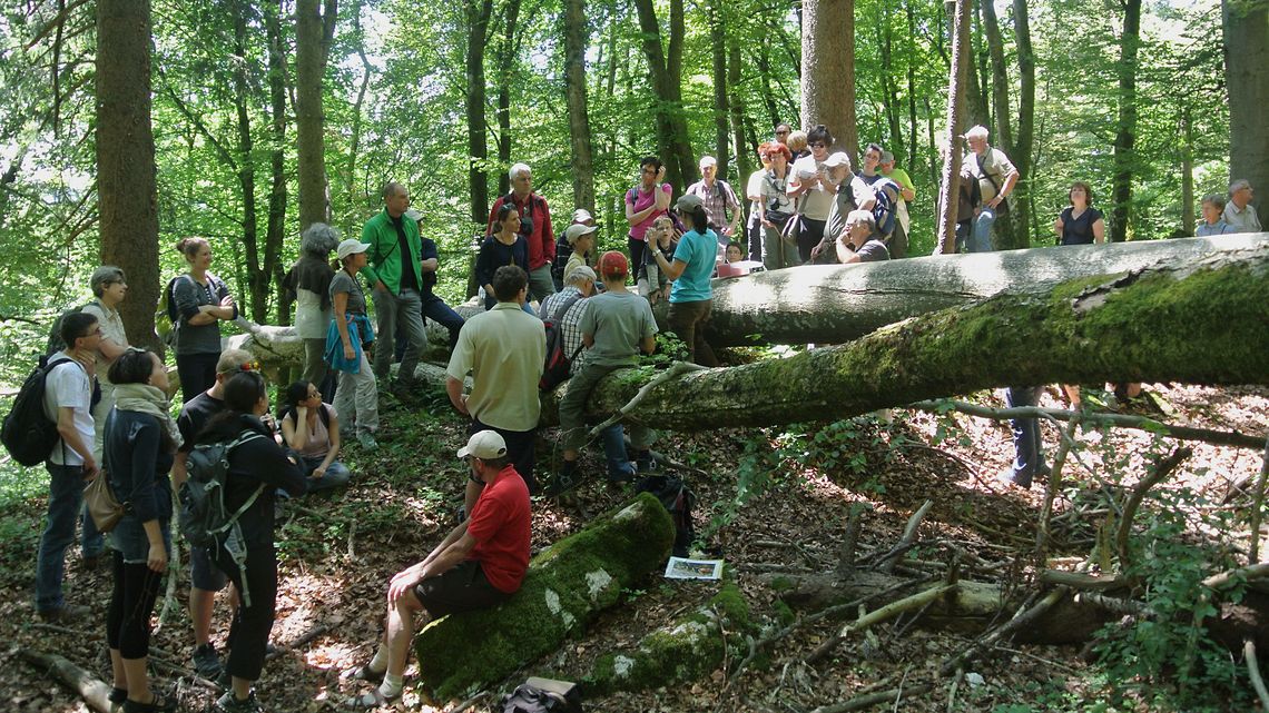 Ein Gruppe Menschen auf Exkursion im Wald