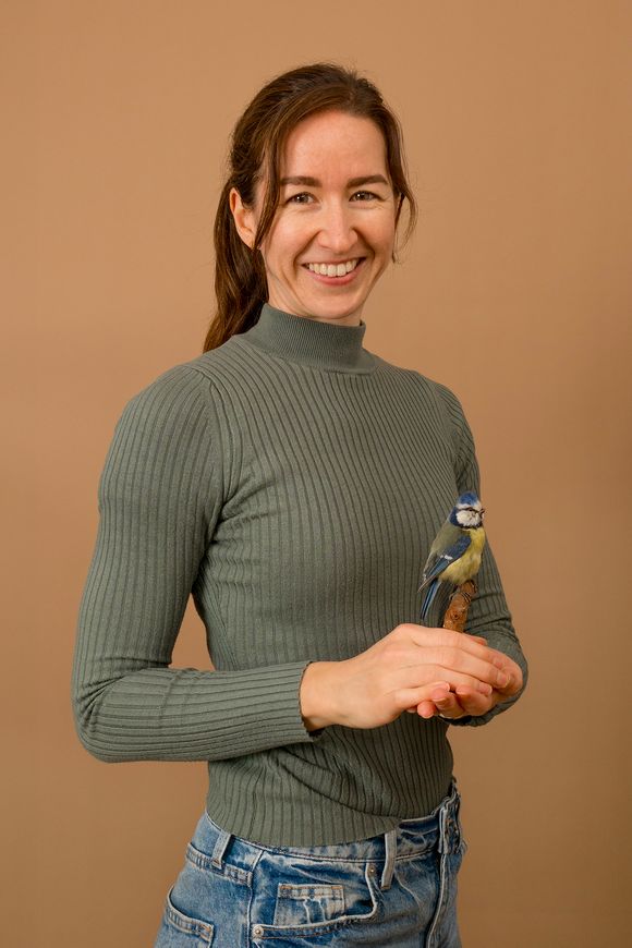 Silvana Meisel Silvana Meisel