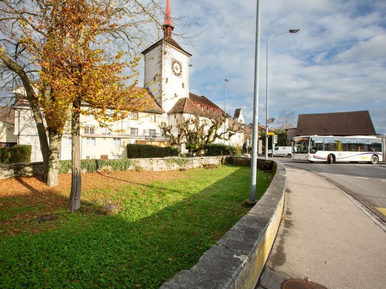 Klimaspaziergang in Mellingen