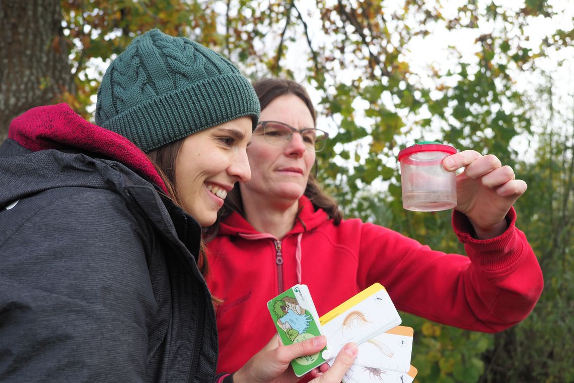 Zwei Personen begutachten Becherlupe