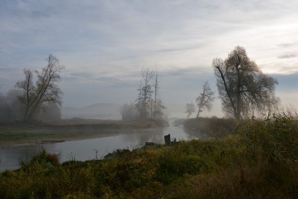 Auenlandschaft bei Rietheim