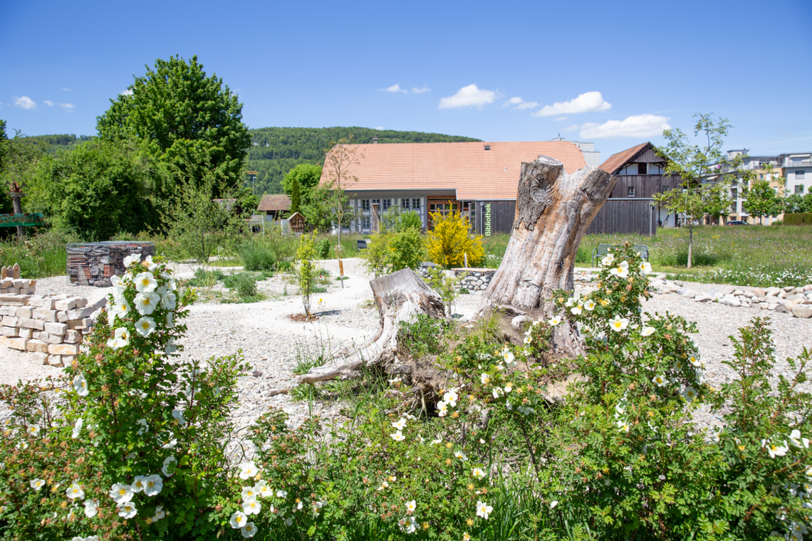 Naturgarten in Rothrist