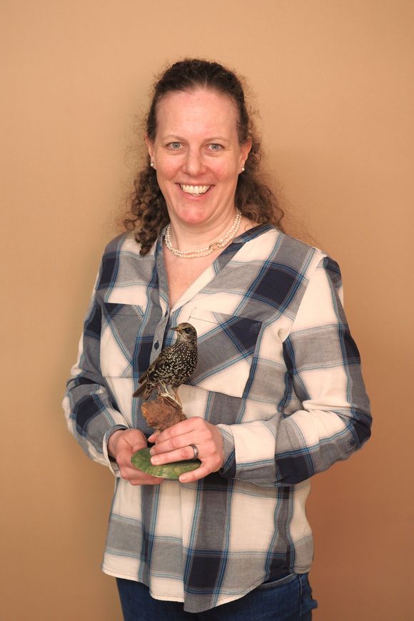 Marianne Hürst Marianne Hürst