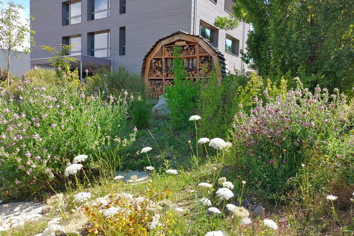 Grosses Insektenhotel bei Schule Bad Zurzach