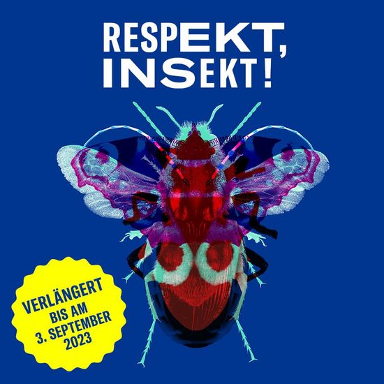 Visual zur Sonderausstellung «RESPEKT, INSEKT!»