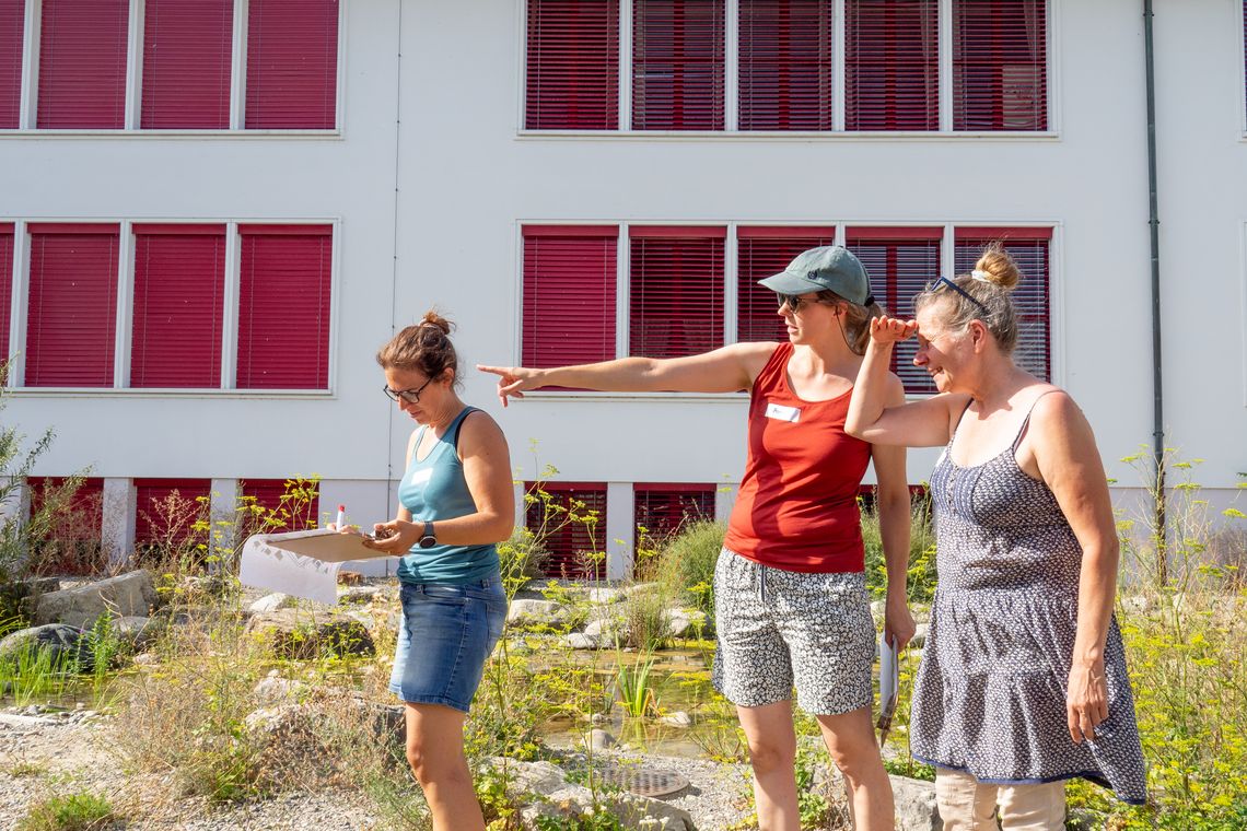 Drei Personen besprechen sich in der Natur