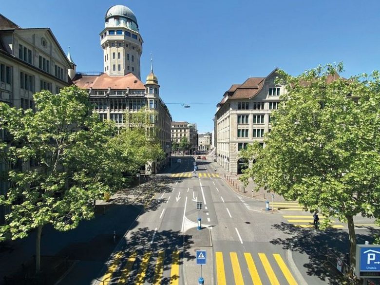 Die Stadtbäume der Zukunft