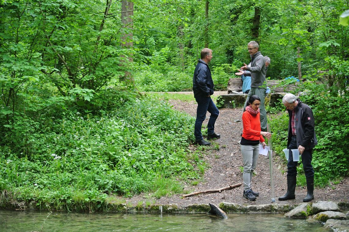 Personen im Wald an einem Bach