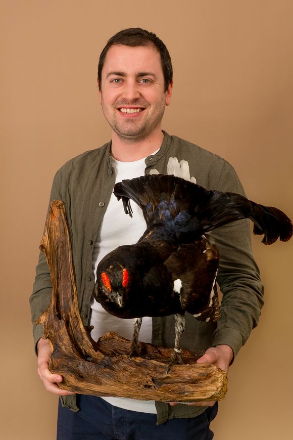 Mathias Romer Mathias Romer