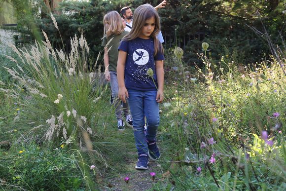 Kinder mit Eltern im hochgewachsenen Gras