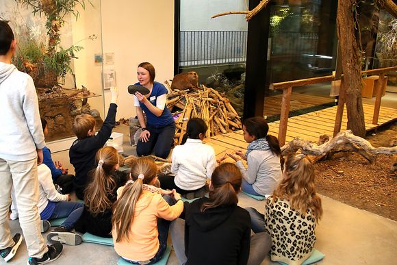 Schulkinder während einer Führung im Naturama