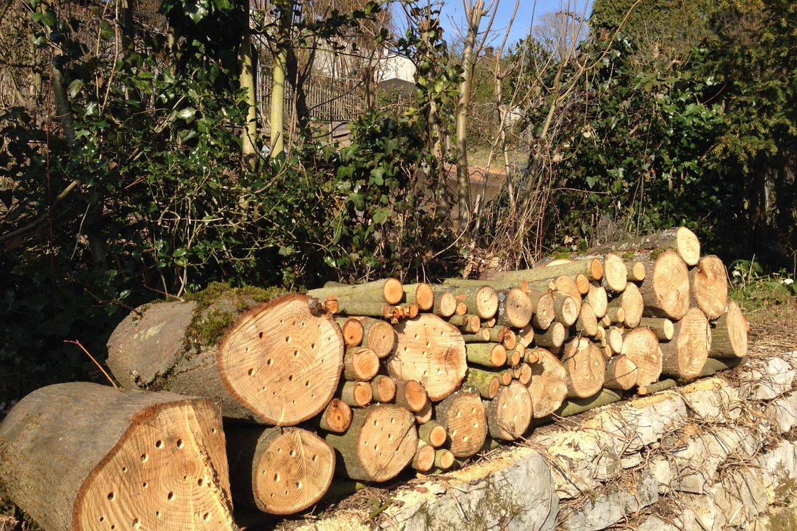 Gesägte Holzstämme auf einer Mauer in einem Garten