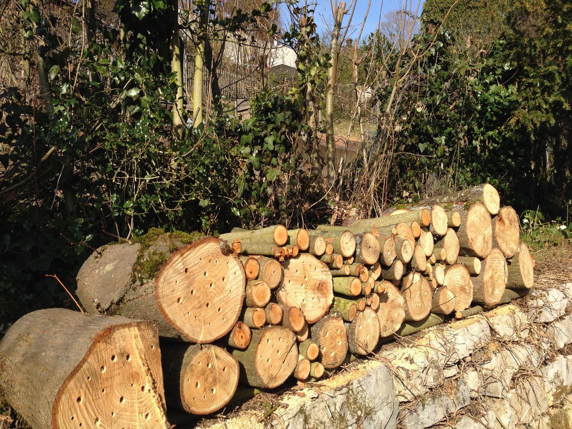 Gesägte Holzstämme auf einer Mauer in einem Garten