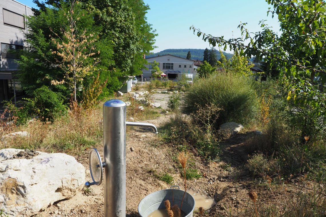 Naturnaher Spielplatz bei Schule Bad Zurzach