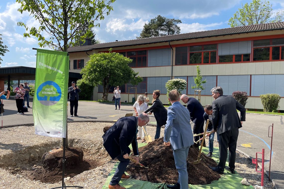 Menschen pflanzen Baum in Koblenz