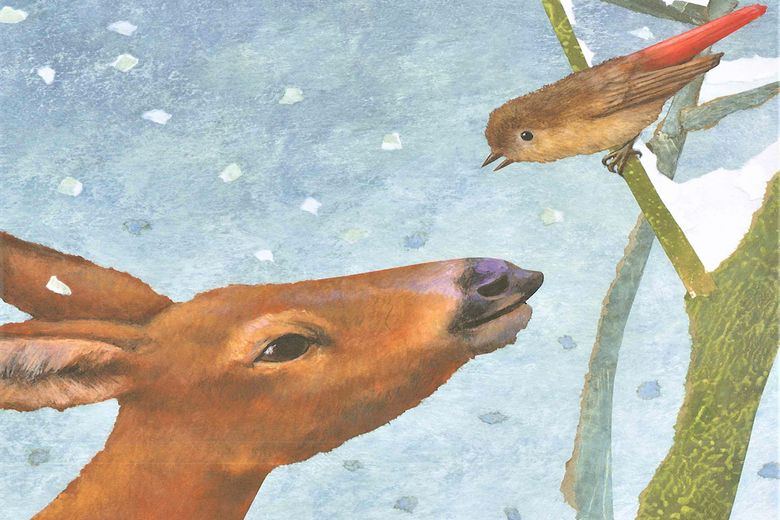 Rotschwänzchen - was machst du hier im Schnee?