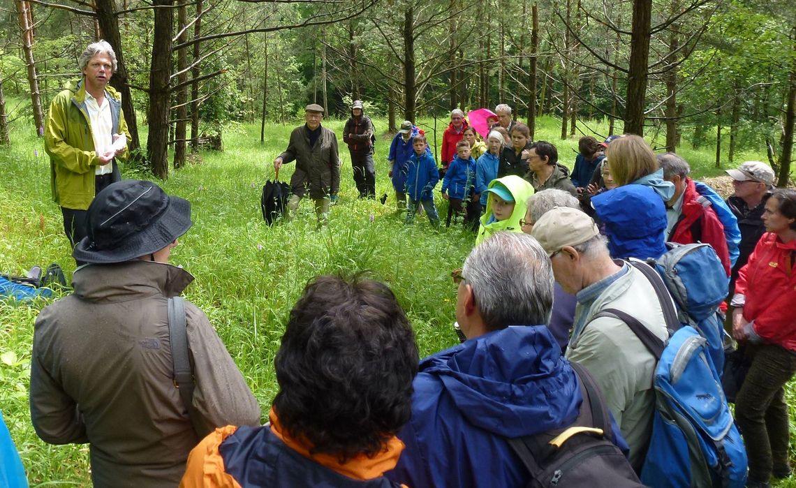 Eine Gruppe im Wald hört einem Mann zu, der etwas erklärt