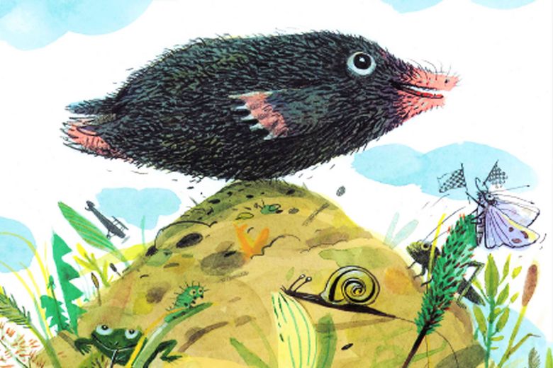 Der kleine Erdvogel