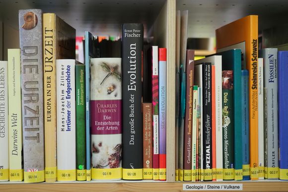 Bücher in der Naturama-Bibliothek