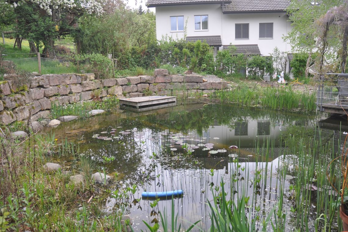 Schwimmteich in einer Siedlung