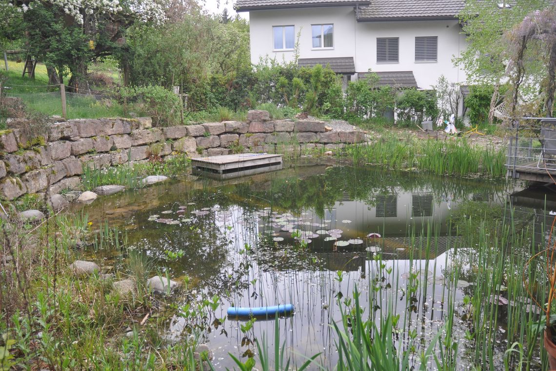 Schwimmteich in einer Siedlung