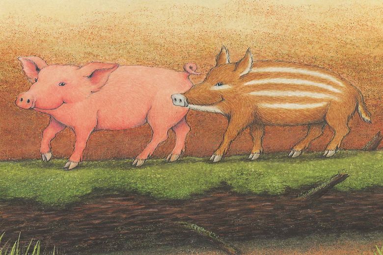 Edda Rosa im Wildschweinwald