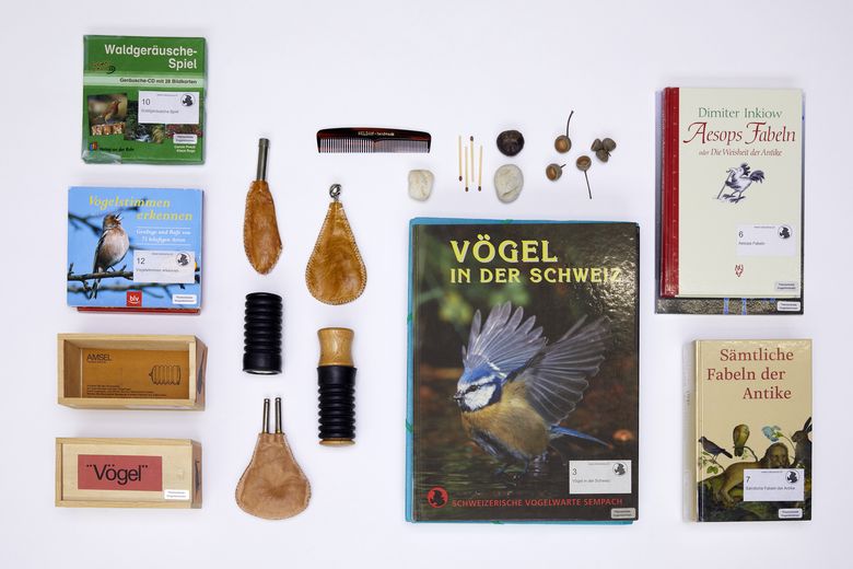 Vogelstimmen