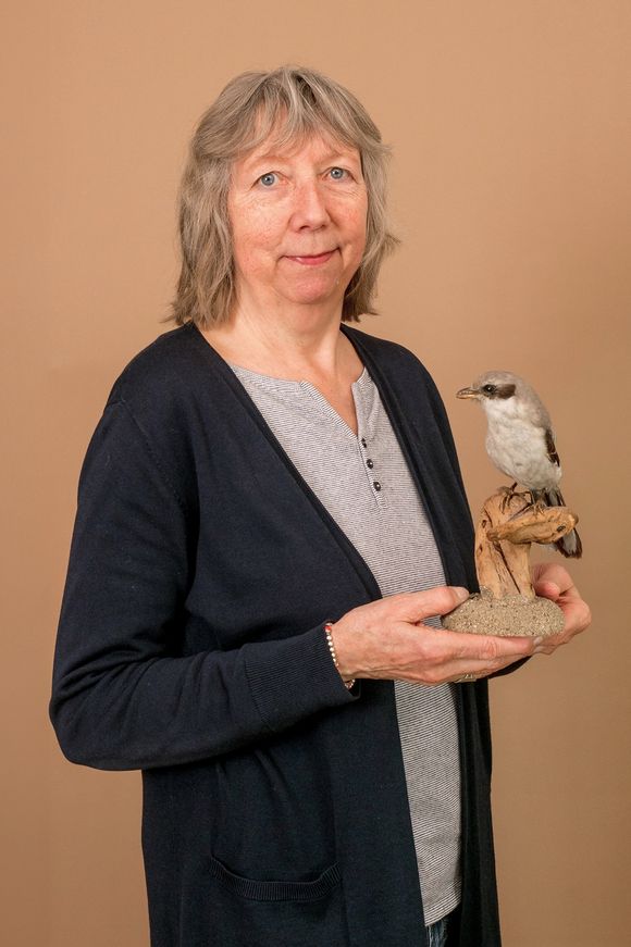 Marietta Stöckli Marietta Stöckli
