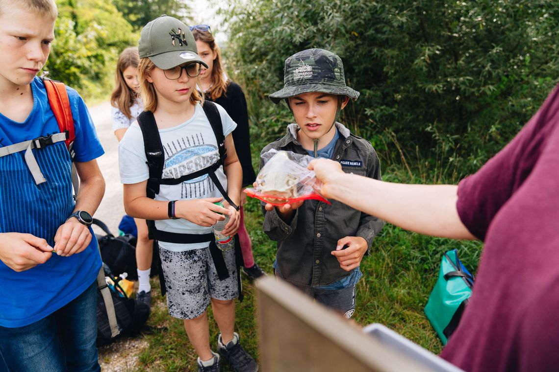 Kinder bestaunen Biberschädel