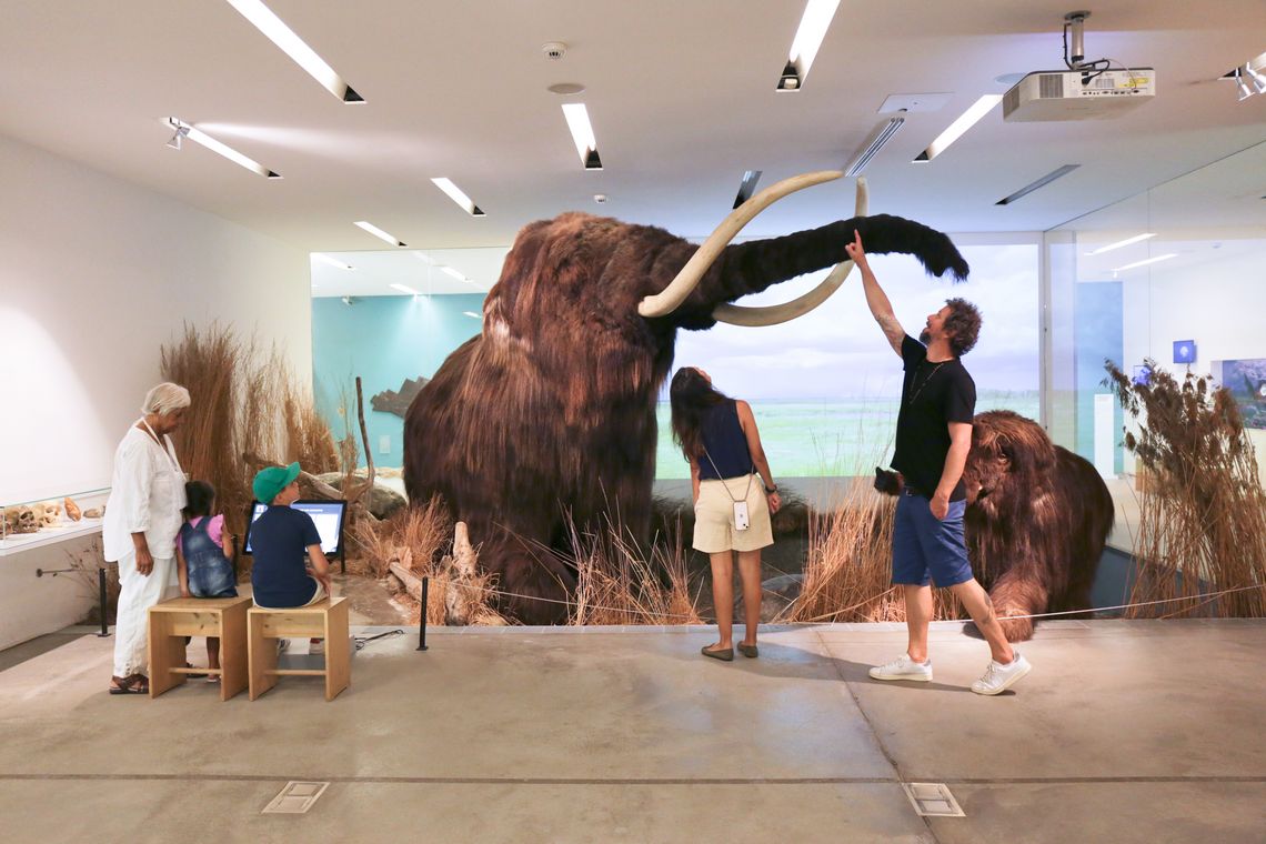 Naturama-Mammut mit Familie