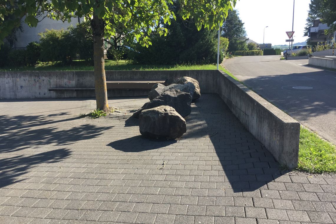 Bild Entwicklung Meisterschwanden