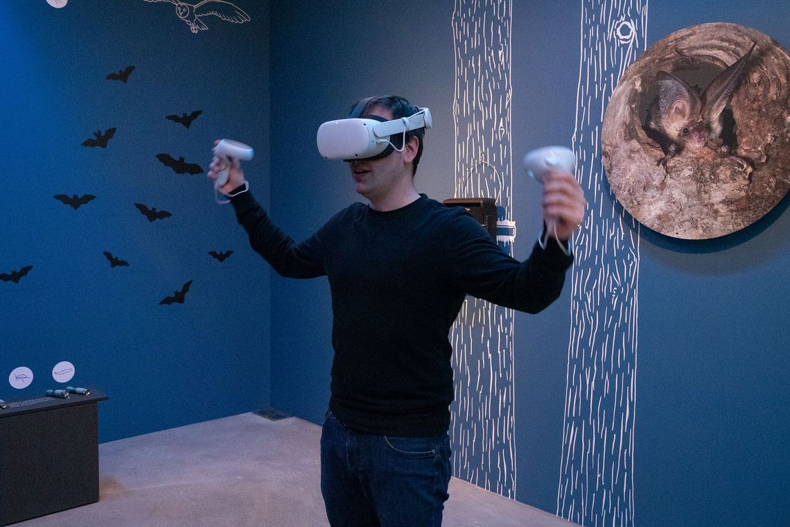Fledermaus-Raum mit Virtual-Reality-Brille