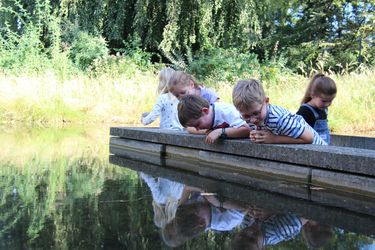 Kinder schauen vom Rand aus in einen Teich
